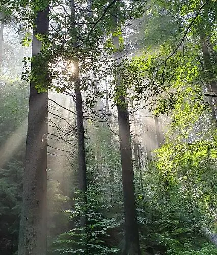 Apartment Sonniges Eck 1